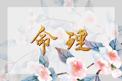 日历2026年查询 日历表2026日历 择吉日历